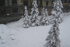 Vars - Risoul - Mars 2009